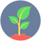 Icono representando una planta creciendo