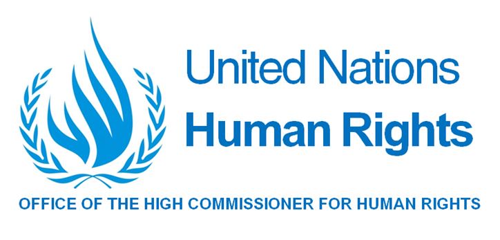 Logo Comité de Naciones Unidas 